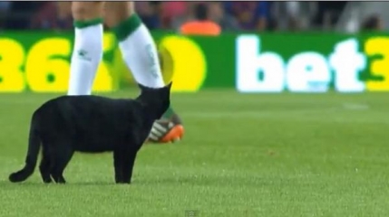 Pisica neagra s-a aratat pe teren in Barcelona-Elche
