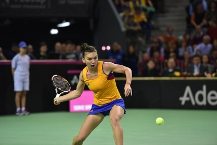 Simona Halep invinsa de Karolina Pliskova in Fed Cup