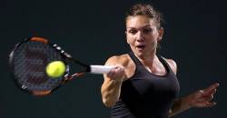 Streaming live - Halep si Sharapova in semifinale la Stuttgart