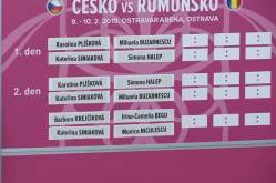 Asa am trait Karolina Pliskova - Mihaela Buzarnescu in Fed Cup