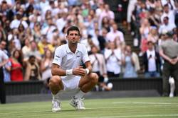Djokovic, pus in dificultate dupa castigarea Wimbledon