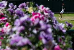 Primele sferturi la Wimbledon. Meciuri deschise oricarui rezultat la feminin